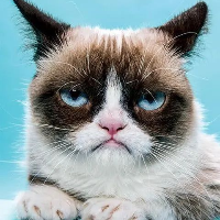 Bruno Predot's avatar